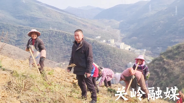 傅向平代表：深耕茶產業，以產業發展帶動群眾就業增收